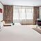 Melia Madrid Princesa