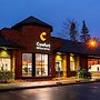 Comfort Hotel & Suites