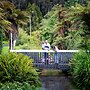 Ripple Rotorua