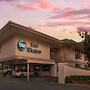 Best Western Inn