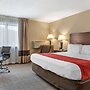 Comfort Inn Lansing West