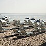 Four Seasons Resort Palm Beach