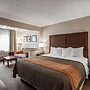 Quality Inn Pocatello North