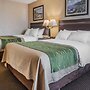 Comfort Inn On the Bay