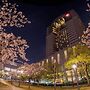 Imperial Hotel Osaka