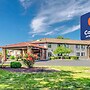 Comfort Inn & Suites West Springfield