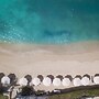 Blue Waters Resort & Spa