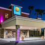 Comfort Inn & Suites Pharr - McAllen
