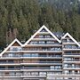 Crans Ambassador
