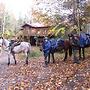 Algonquin Eco-Lodge