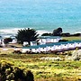Discovery Parks - Devonport