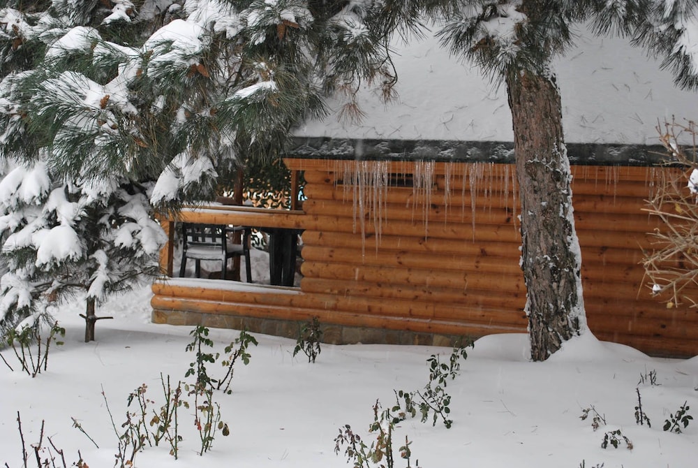 Elki-Palki