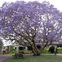 Ecotel Narooma