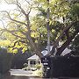 Bangalow Guesthouse