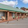 Roseville Motel & Apartments