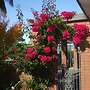 Havenlee Homestay