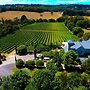 Morning Sun Vineyard