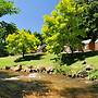 NRMA Bright Holiday Park