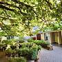Hahndorf Oak Tree Cottages