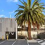 Areca Launceston