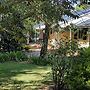 Amy's House