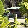 Diamond Forest Farm Stay