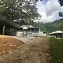Ingleside Stud Farm