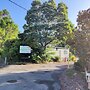 Zeehan Bush Camp