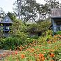 Great Ocean Road Cottages
