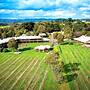 Glen Erin At Lancefield - Vineyard Retreat