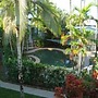 Coral Reef Apartments