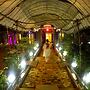 Saraya Art Cafe B&B