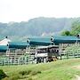 Port Lympne Reserve - Livingstone Lodge