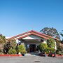 Franz Josef Top 10 Holiday Park