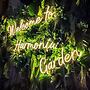 Harmonia Garden Hotel & Restaurant