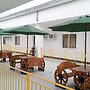 Asia Jem Hotel-Gapan City