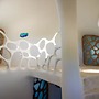 Alterhome Turtle Studio