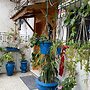 Casa Zitouna- Guest House - Kef, Tunisia