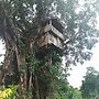Glowing Mountain view tree house