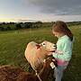 Jilly Park Farm Interactive Experience