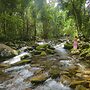 Misty Mountains Rainforest Retreat