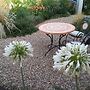 Girasole Boutique B&B