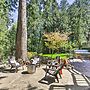 The Owls Nest w/ Hot Tub & Forest Views!