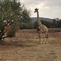 Ou Kraal tented Lodge