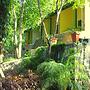The Last Shola Cottages