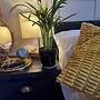 Charming 1-bed Studio Annex,parking,kitchen,wifi