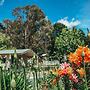 Eagle Hawk Park