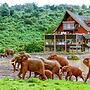 The Ark Lodge