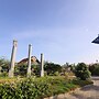 LA PALMERA