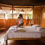 Eywa Lodge Amazonas: Luxurious Eco Escape – All-Inclusive Adventure in